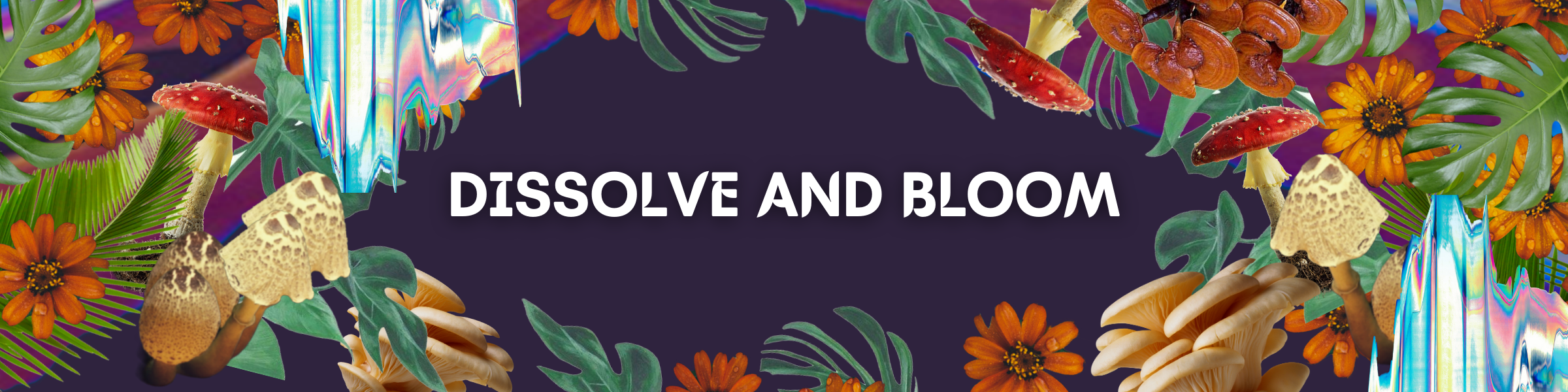 Dissolve and Bloom 2024