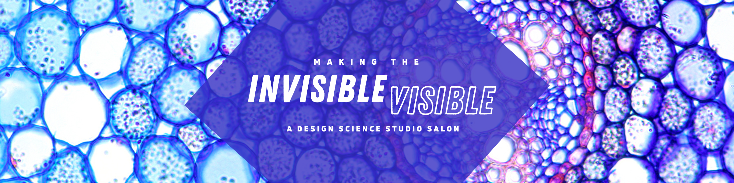 Making The Invisible Visible
